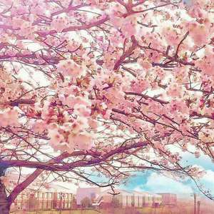 亚洲第一区视频
